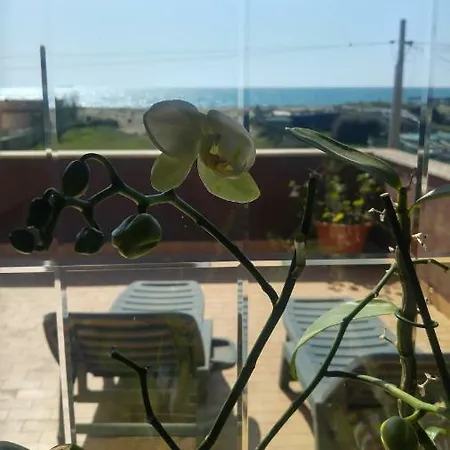 Bb Fly And * Fiumicino