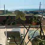 Bb Fly And * פיומיצ'ינו