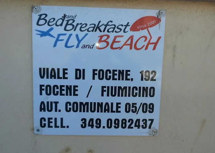 B&B Bb Fly And